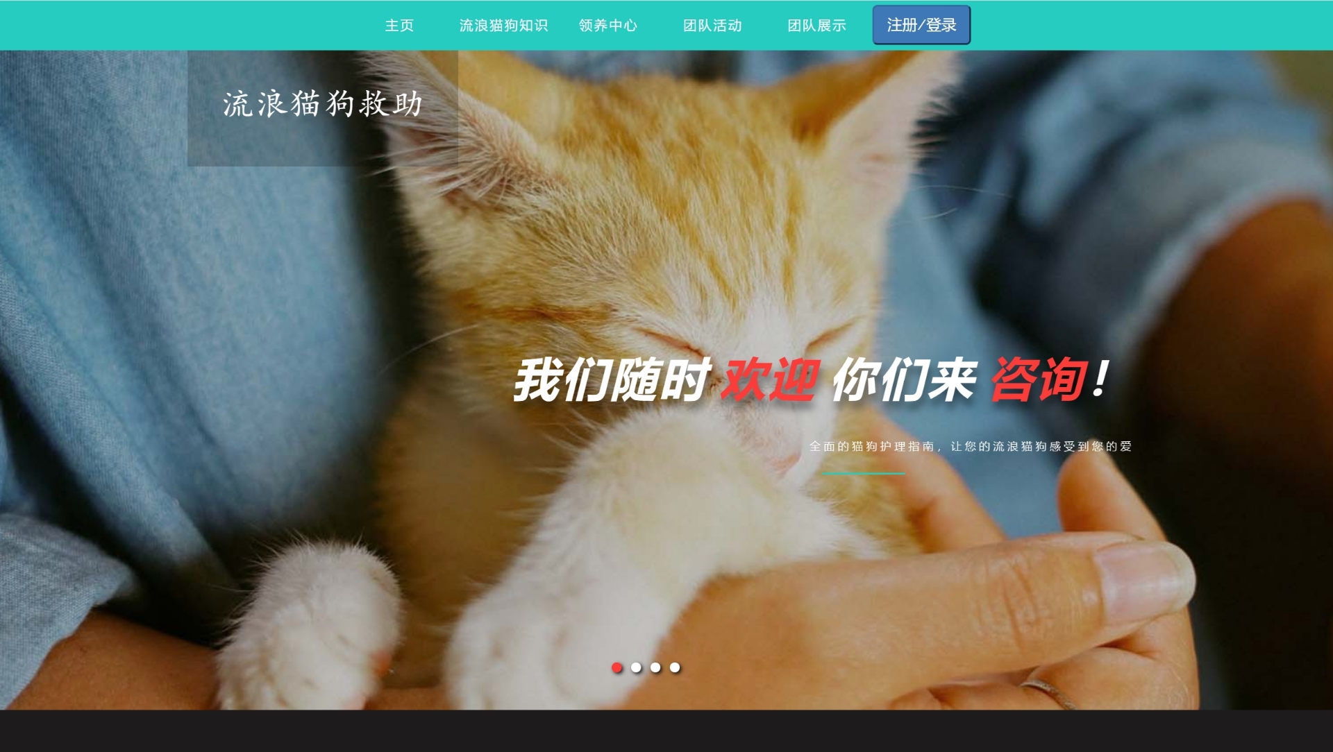 java 流浪猫狗救助网站系统 动物救助网站系统  ssm
